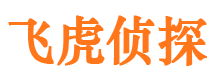 蝶山侦探公司